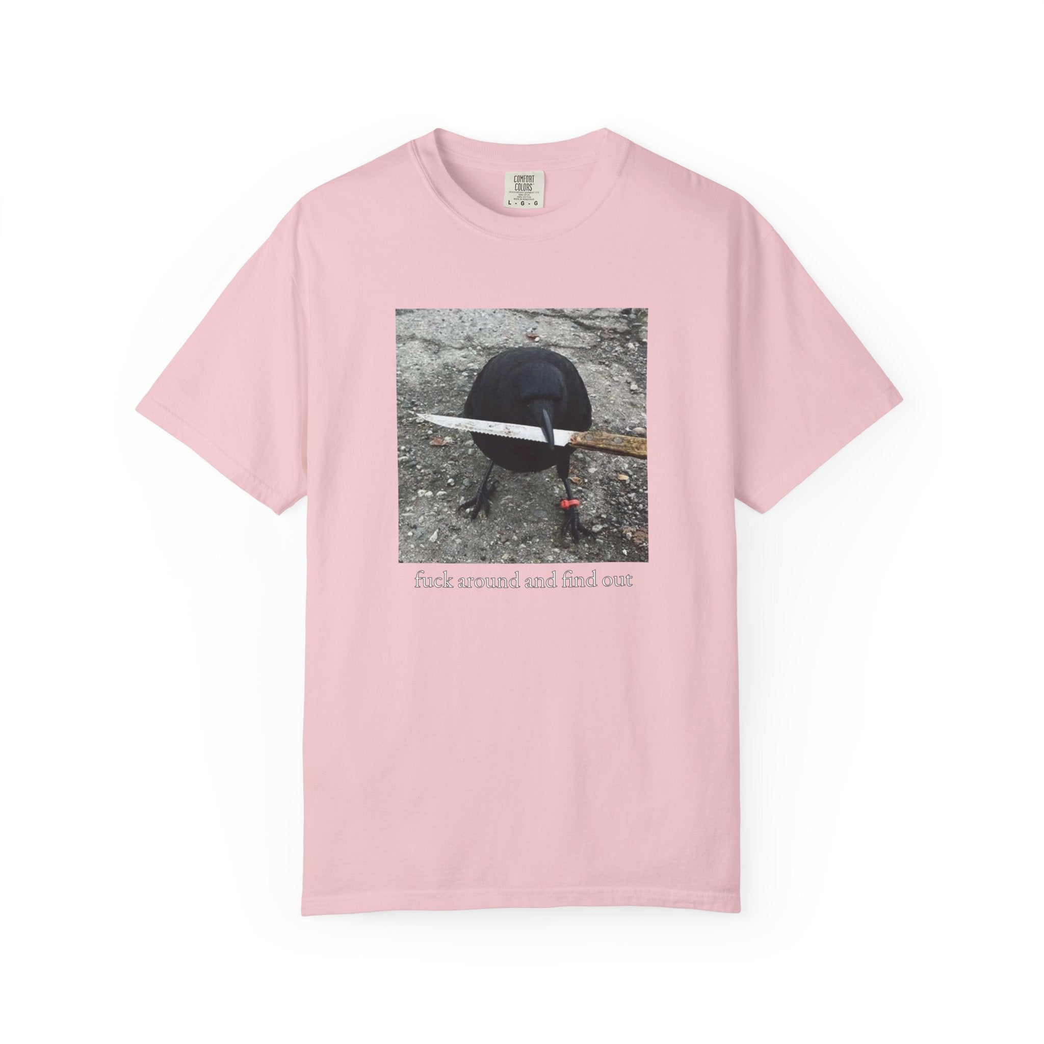 F*ck Around And Find Out • T-Shirt