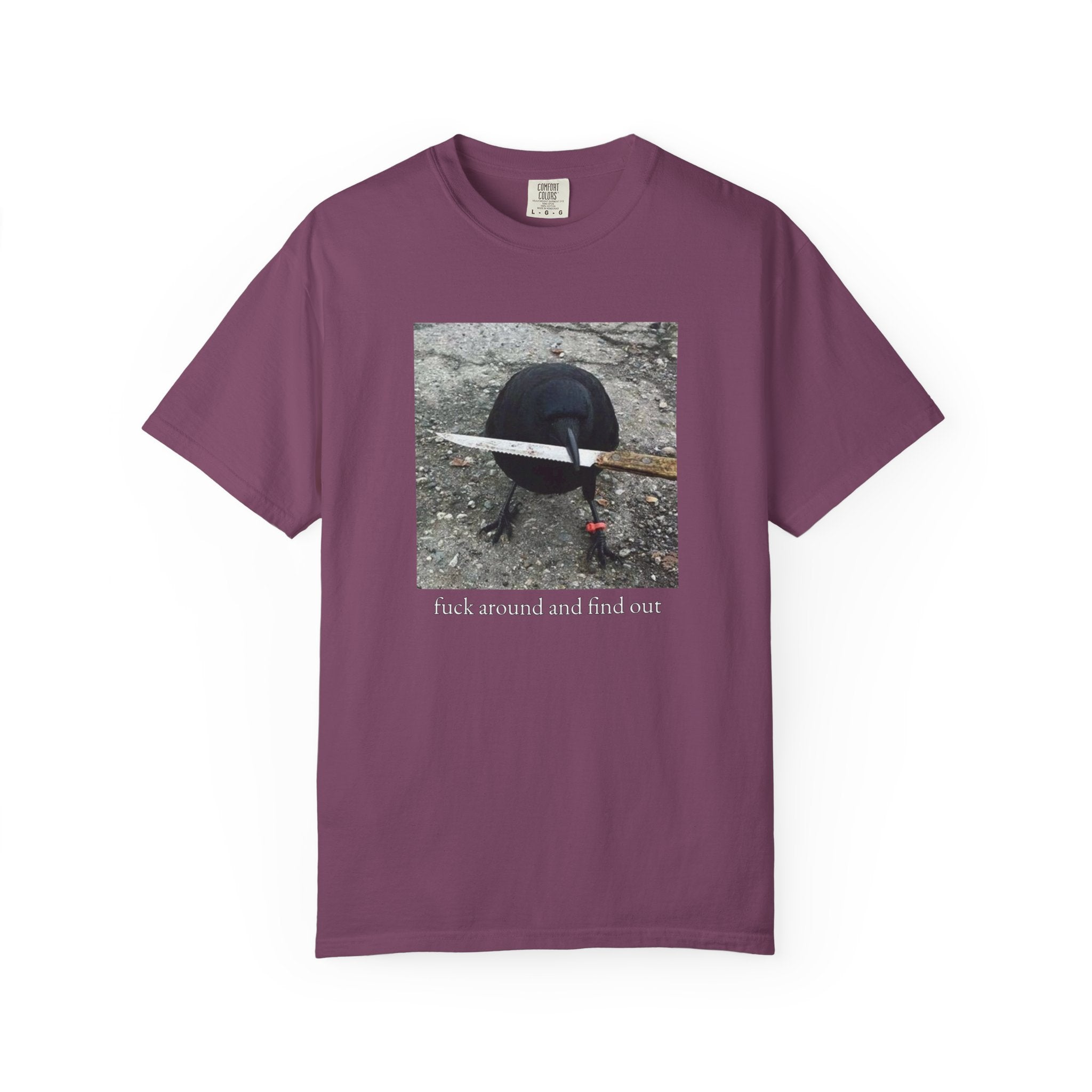 F*ck Around And Find Out • T-Shirt