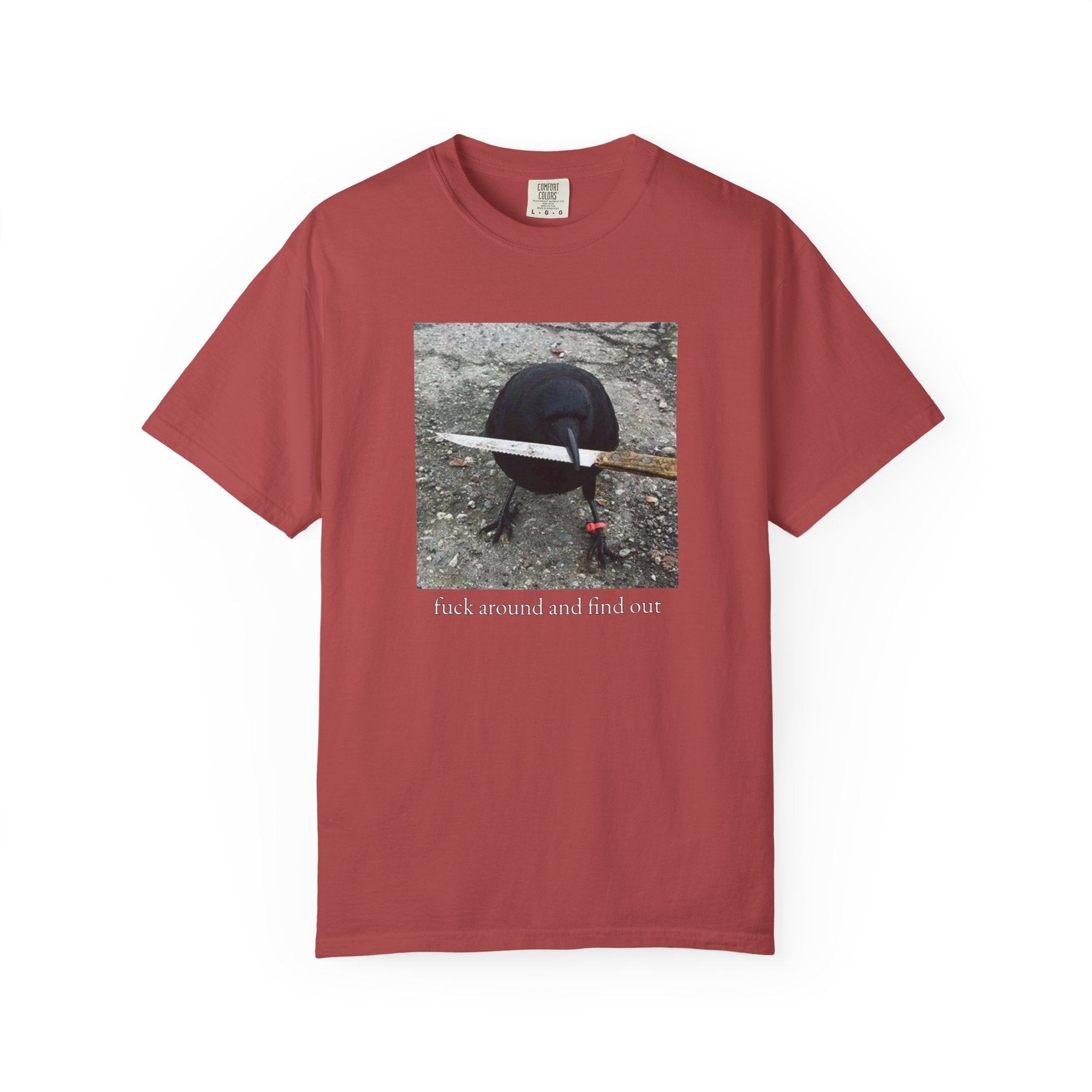 F*ck Around And Find Out • T-Shirt