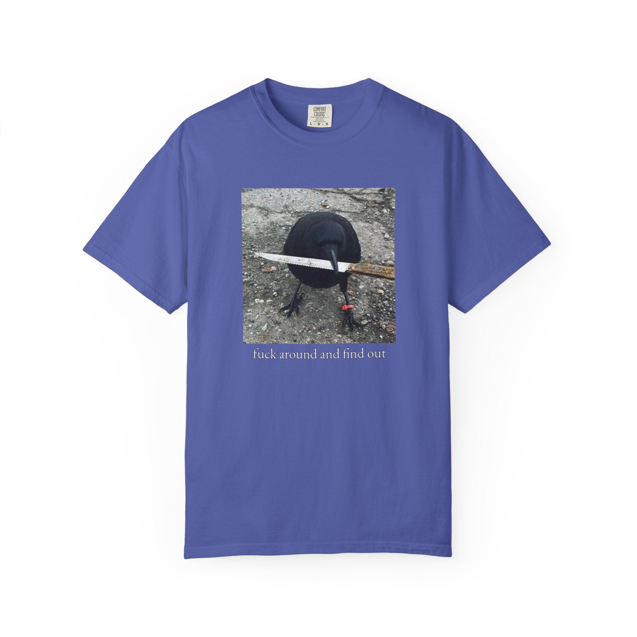 F*ck Around And Find Out • T-Shirt