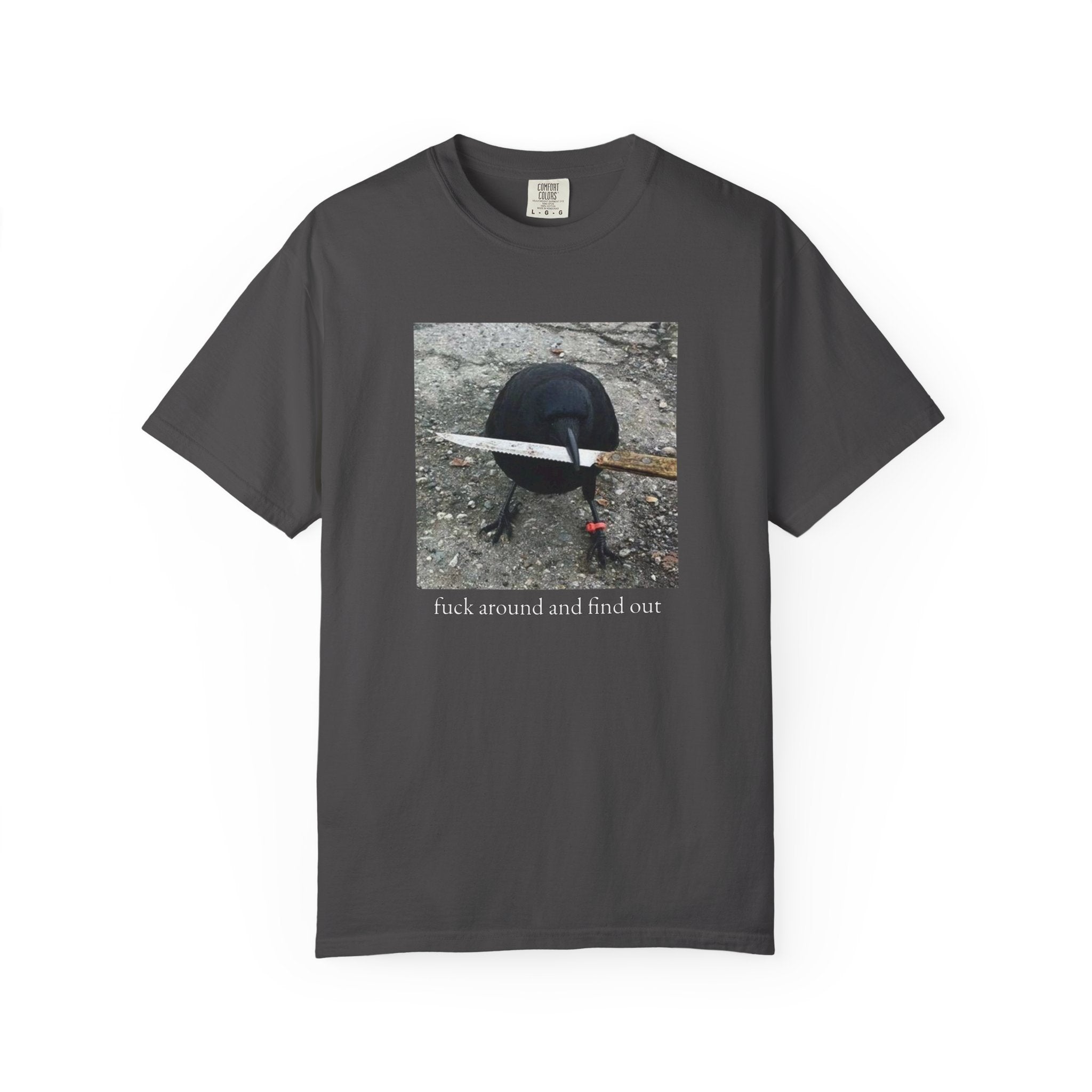 F*ck Around And Find Out • T-Shirt