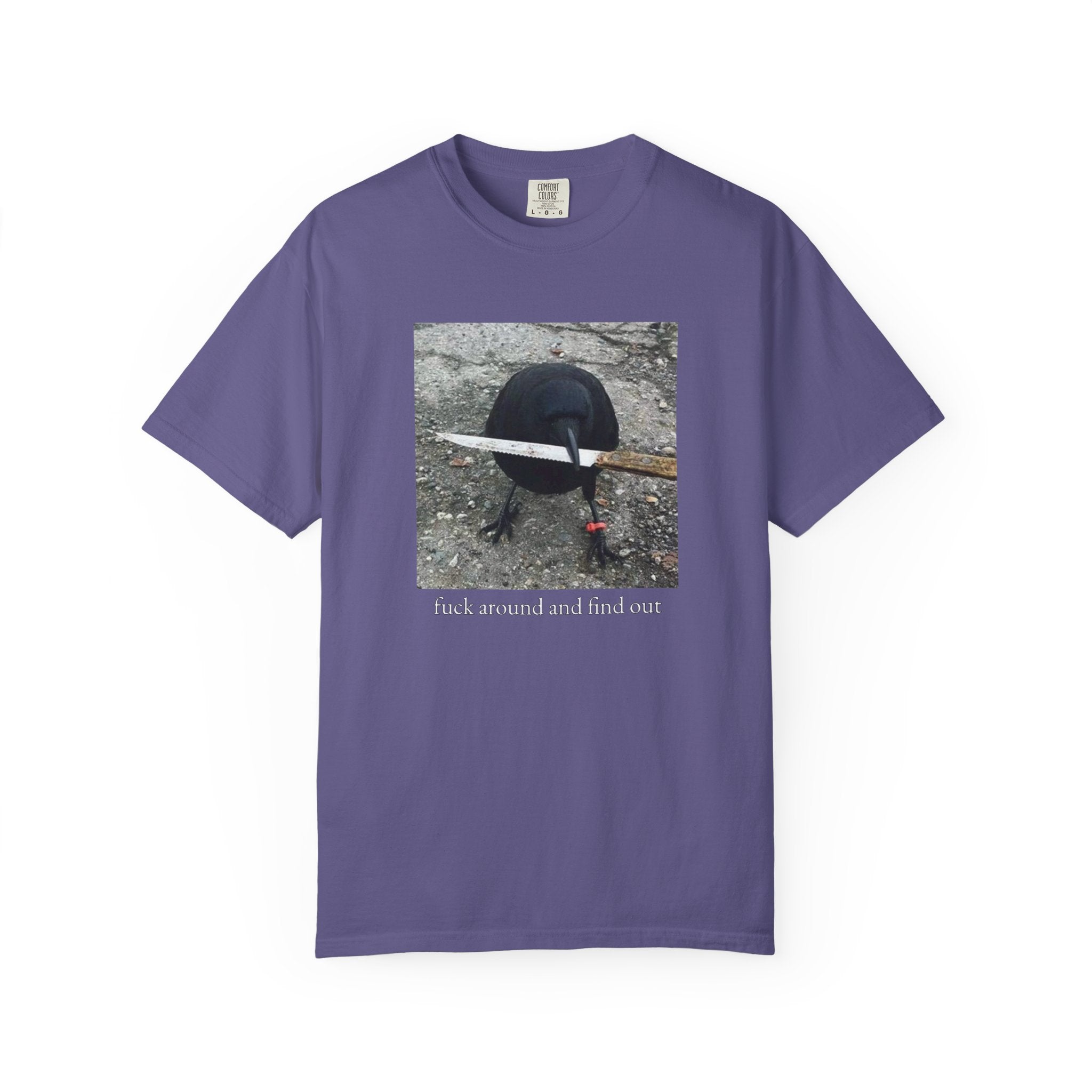 F*ck Around And Find Out • T-Shirt