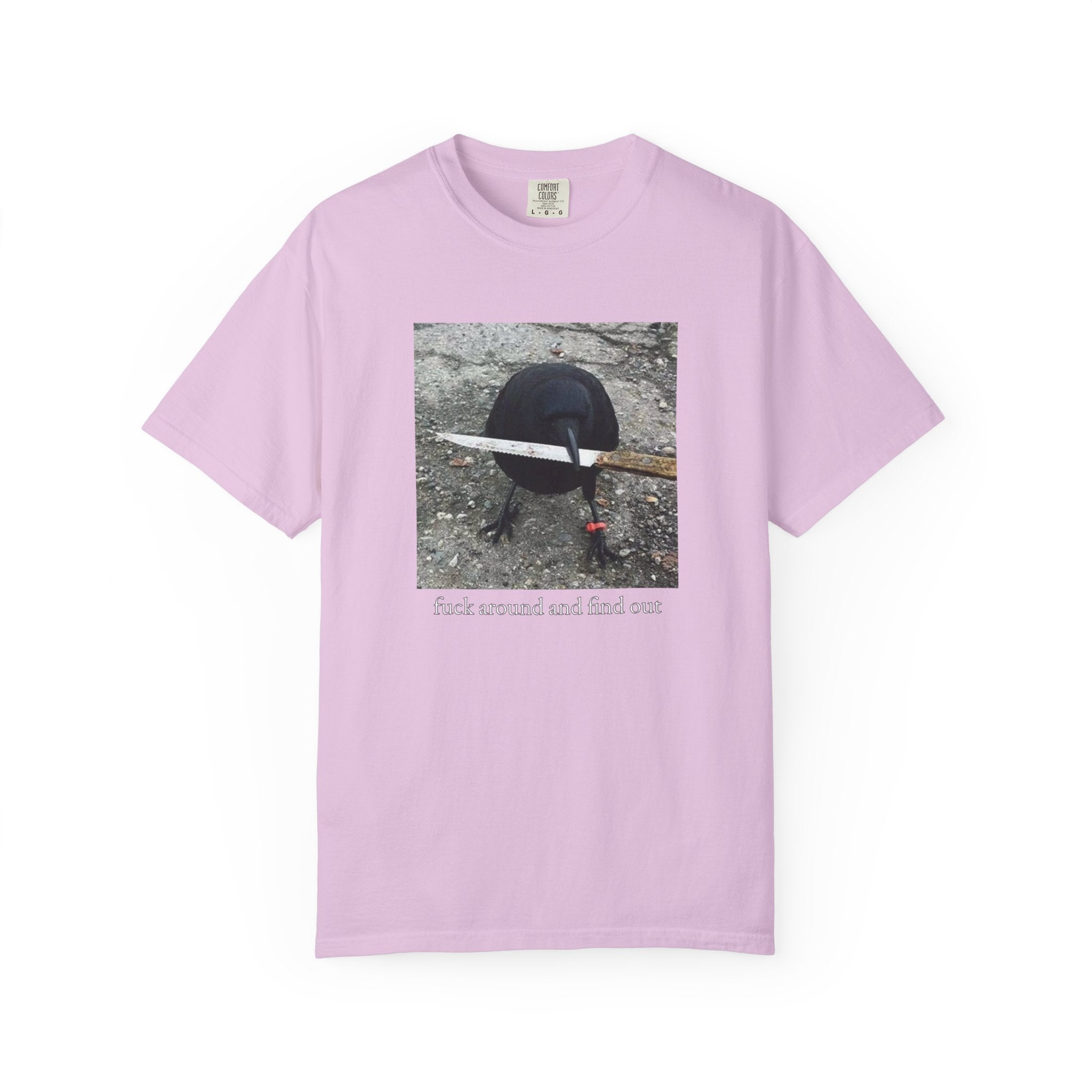 F*ck Around And Find Out • T-Shirt