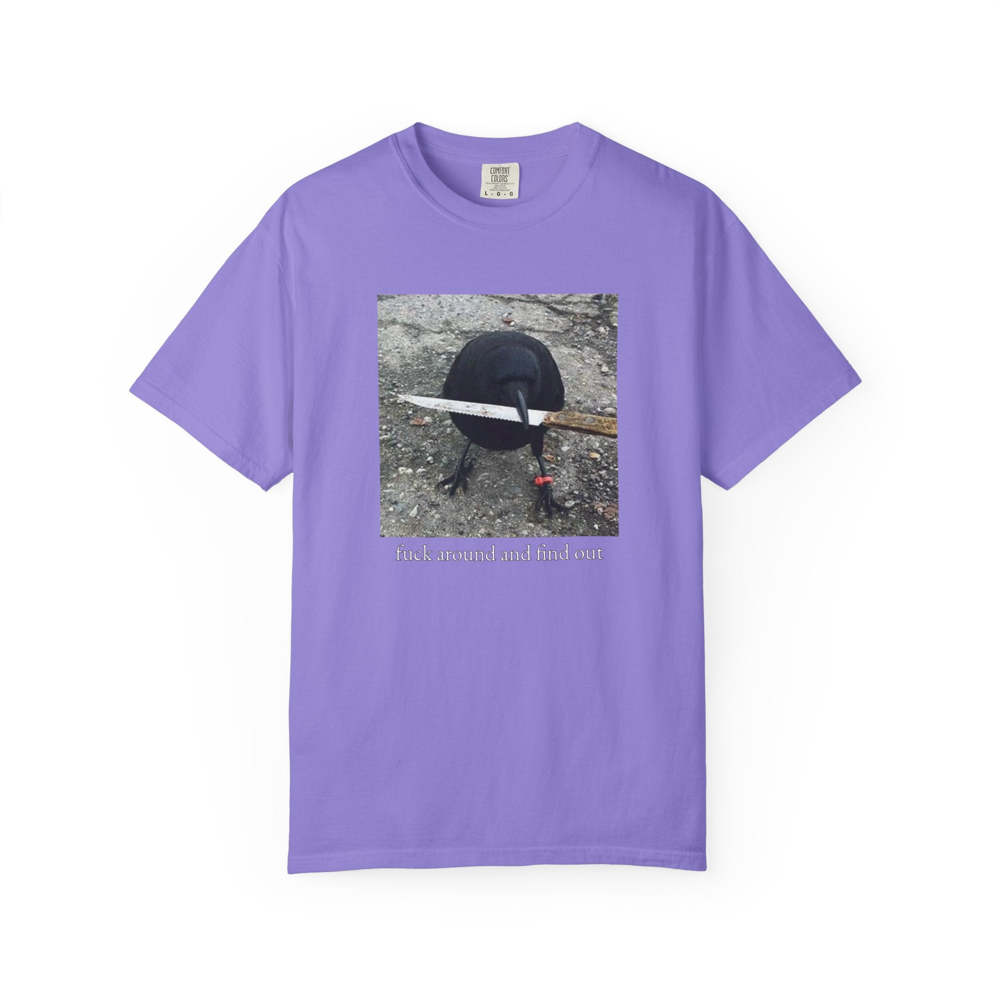 F*ck Around And Find Out • T-Shirt