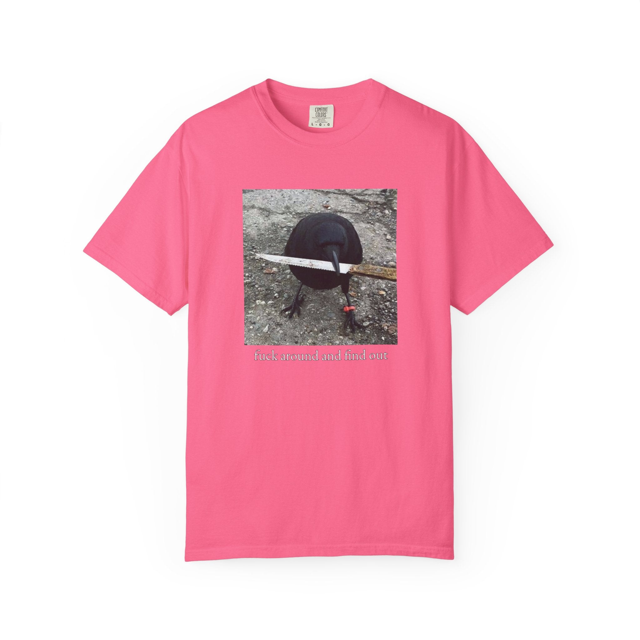 F*ck Around And Find Out • T-Shirt