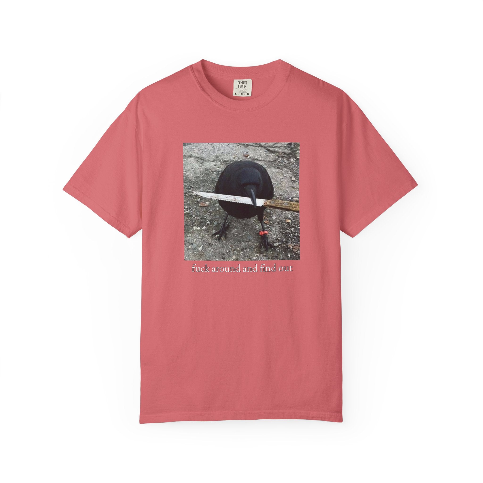 F*ck Around And Find Out • T-Shirt