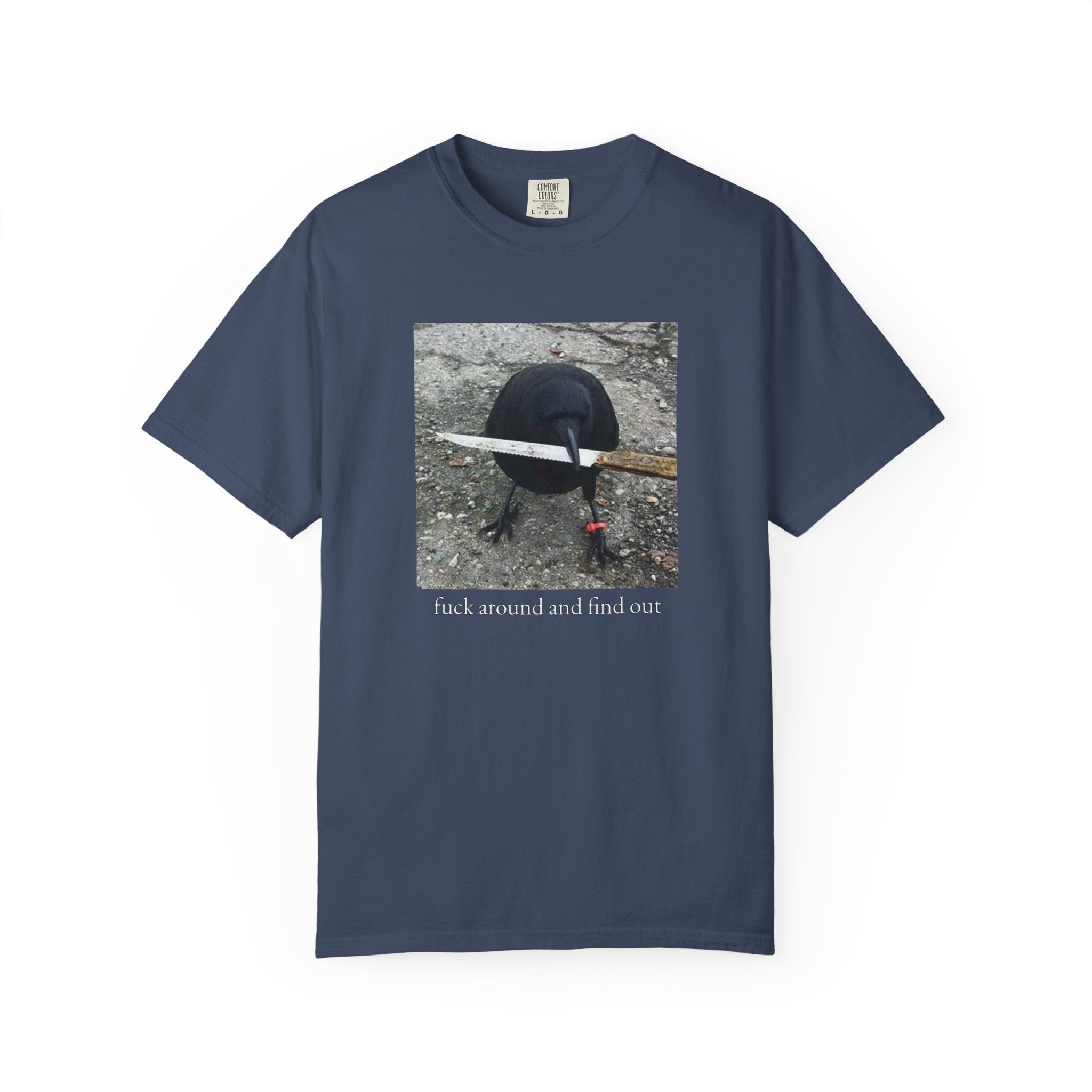 F*ck Around And Find Out • T-Shirt