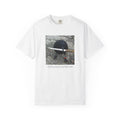 F*ck Around And Find Out • T-Shirt