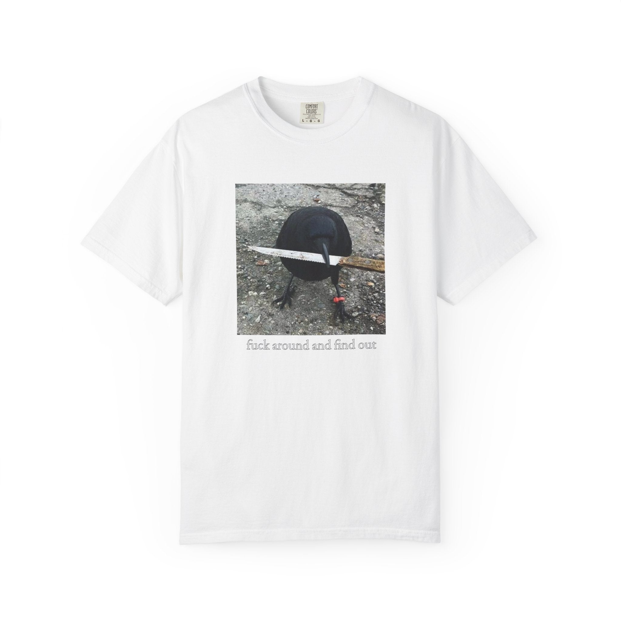 F*ck Around And Find Out • T-Shirt